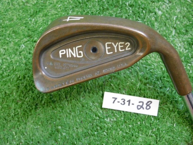 Ping Eye 2 Beryllium Copper BeCu 4 Iron Microtaper Stiff Steel Black Dot