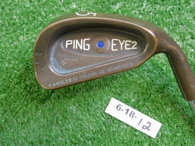 Ping Eye 2+ Beryllium Copper BeCu 5 Iron DG S300 Stiff Steel Blue Dot 1* Upright