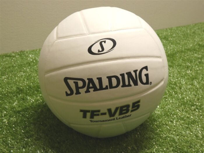Spalding TF-VB5 Tournament Leather White Volleyball NFHS Official Size New