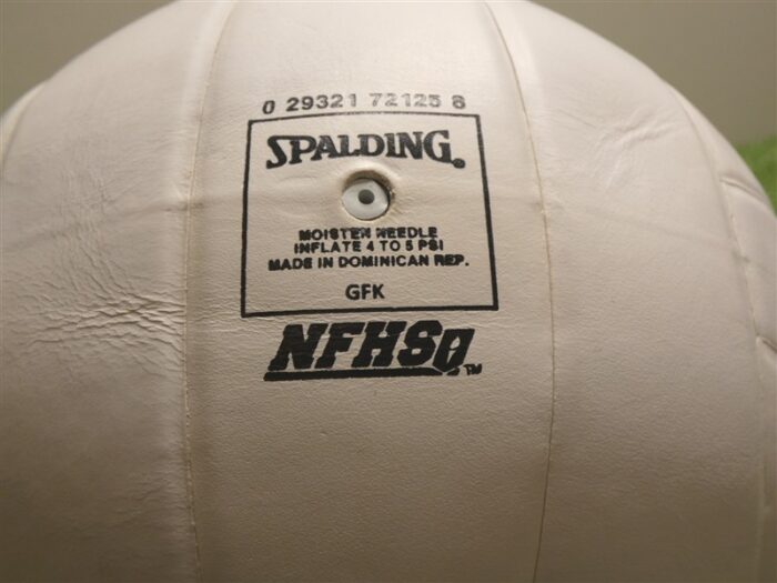 Spalding TF-VB5 Tournament Leather White Volleyball NFHS Official Size New